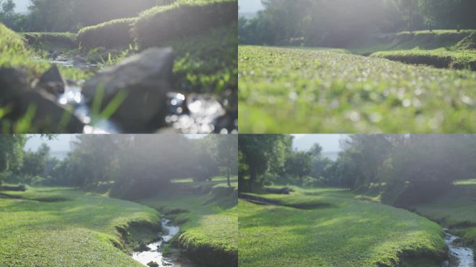溪流小溪草地的清晨时光