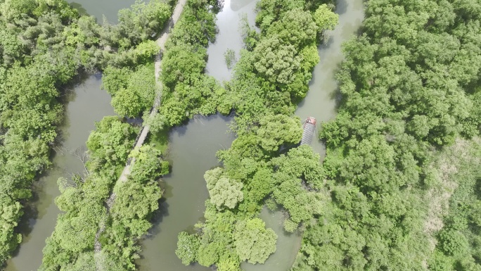 杭州西溪湿地