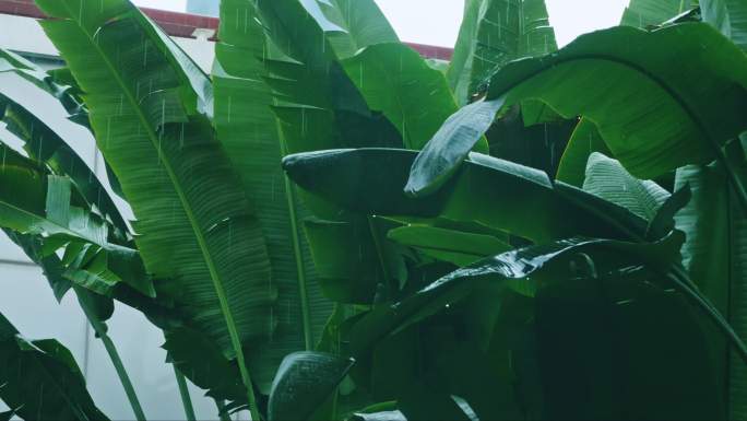 城市暴雨