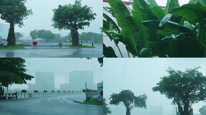 城市暴雨