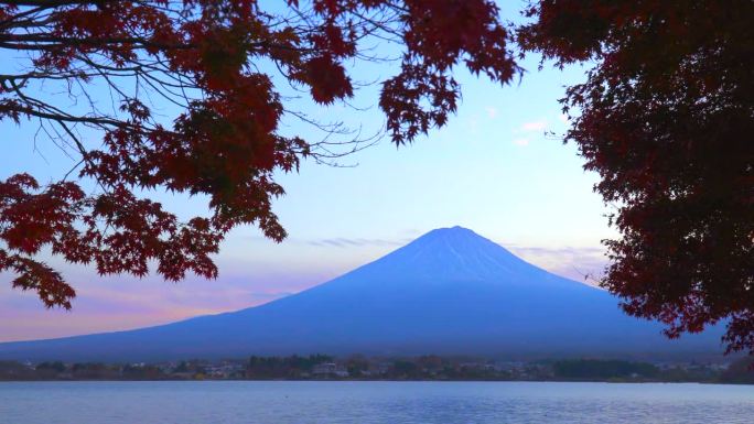 枫叶上的秋叶:黄昏的川口湖与富士山