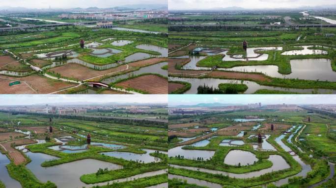 浙江台州，台州湾湿地公园航拍视频素材