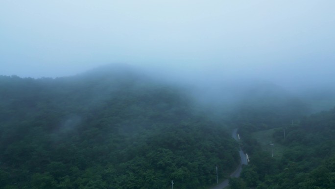 大雾 山区 森林 浓雾