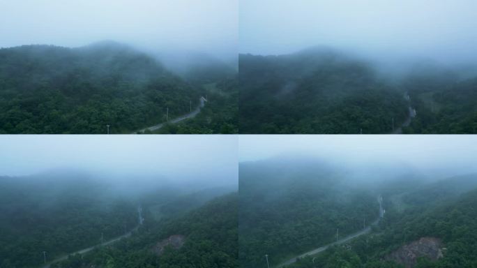 大雾 山区 森林 浓雾
