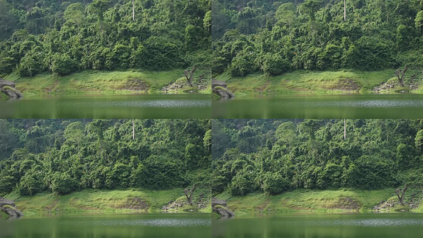 以山为背景的九龙巴生水库湖泊景观