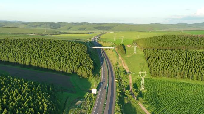 穿过林区田野的高速公路