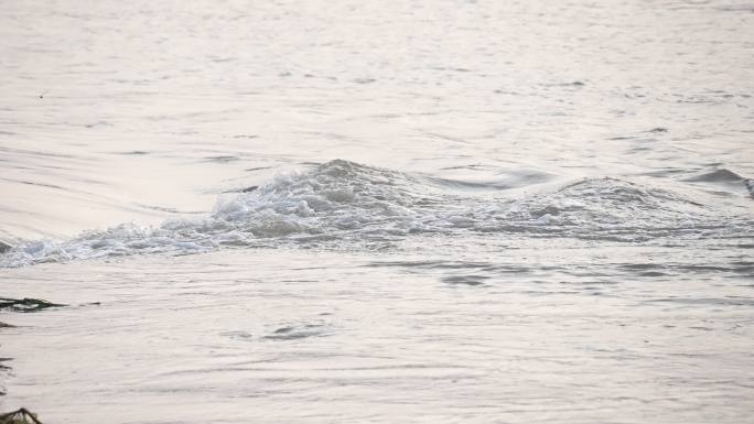 山洪洪水泄洪水土流失 洪水泛滥 洪