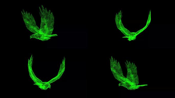 3D猎鹰在黑色背景上旋转。由闪闪发光的微粒构成的物体。野生动物概念。保护环境。用于标题，文本，演示。