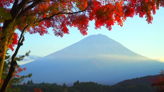 在枫叶丛中看到的富士山