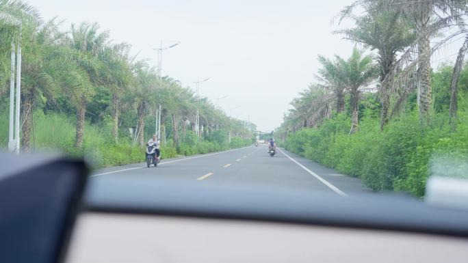 在乡村路上开车一路的风景