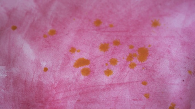 水滴落在彩色纸上，在水彩颜料的水坑里有一个白色的郁金香叶子。植物艺术，春夏水彩画。高品质4k画面