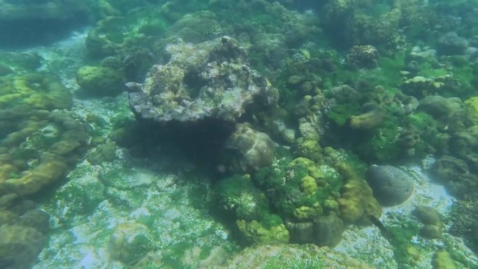 泰国普吉岛的科开岛(Kho Khai Island)，岛上有各种颜色的珊瑚鱼，位于Phangna，从