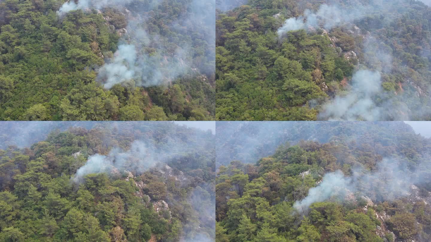 直升机在森林火灾中泼水，直升机在森林火灾中灭火