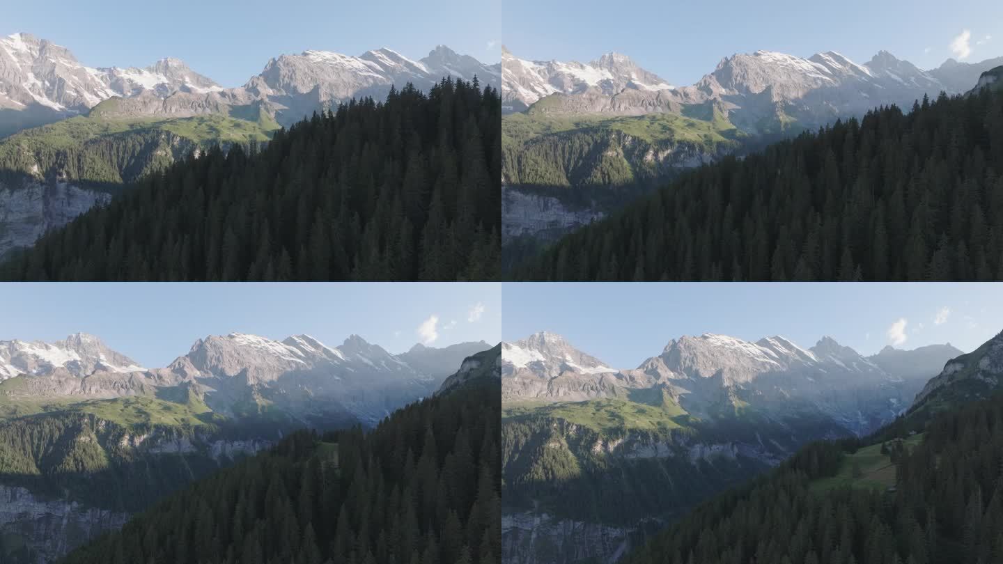 无人机拍摄的远处森林和雪山