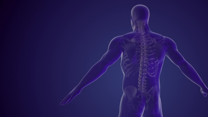 脊柱疼痛或背部疼痛的医学背景