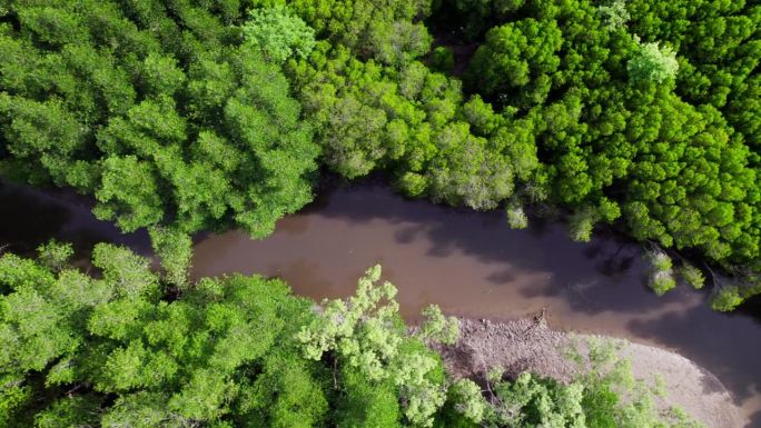 乘坐无人机的俯视图飞行，捕捉大自然的迷人之美——郁郁葱葱的森林在蜿蜒的河流旁层层叠叠。