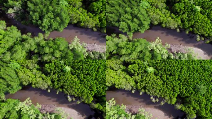 乘坐无人机的俯视图飞行，捕捉大自然的迷人之美——郁郁葱葱的森林在蜿蜒的河流旁层层叠叠。