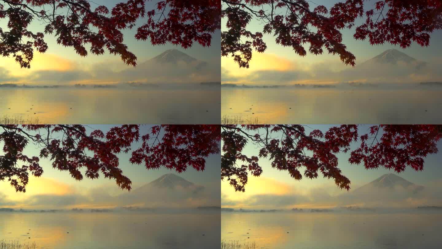 晨雾中的川口湖、富士山和秋叶