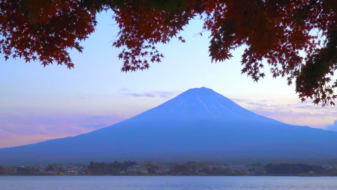 枫叶上的秋叶:黄昏的川口湖与富士山