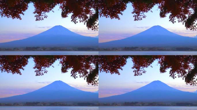 枫叶上的秋叶:黄昏的川口湖与富士山
