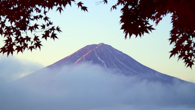 清晨的红枫秋叶与富士山
