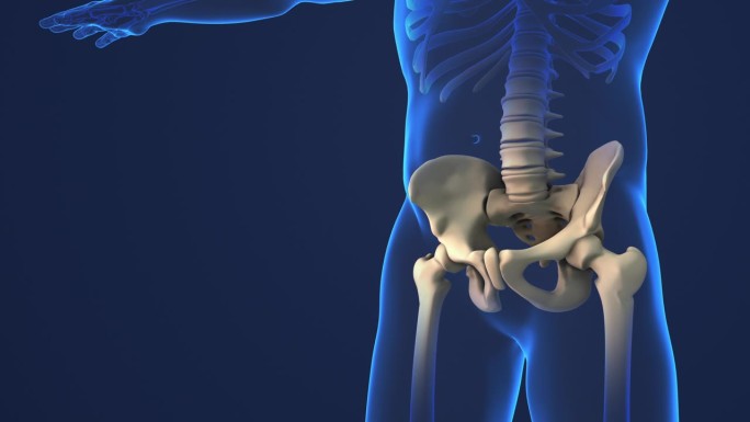 骨盆和颈椎疼痛的医学背景。