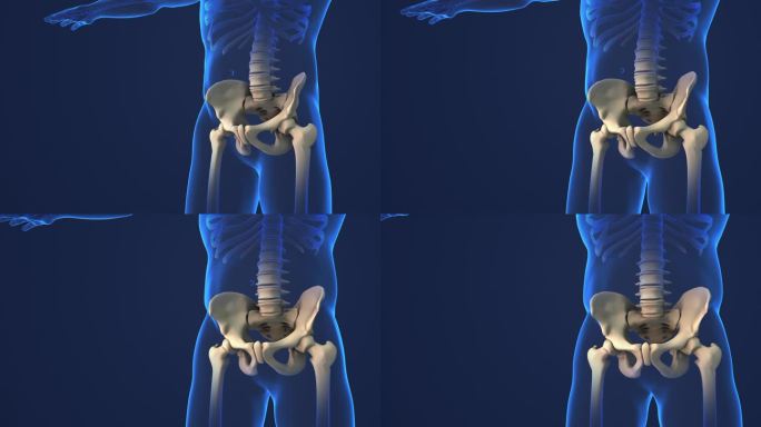 骨盆和颈椎疼痛的医学背景。