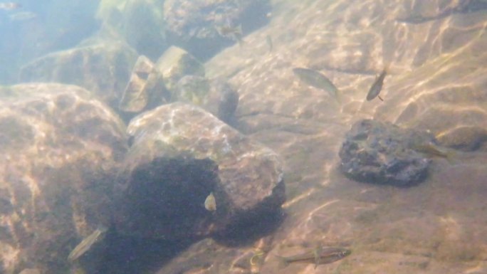 河边小溪河底海底水下世界流水岩石光影唯美