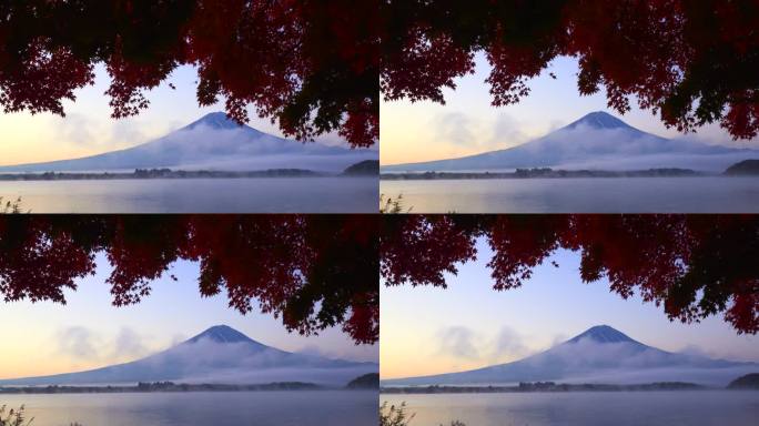 川口湖在清晨的薄雾中，富士山和树木带着秋叶