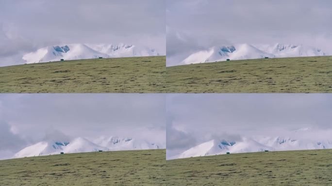 青海阿尼玛卿雪山与高山草甸延时摄影