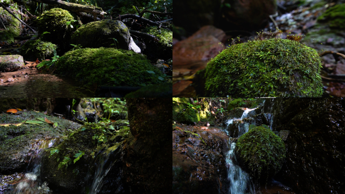 山涧小溪流水苔藓大自然森林山水风景素材包