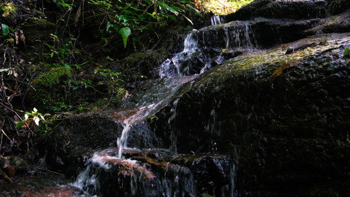 山涧小溪流水苔藓大自然森林山水风景素材包