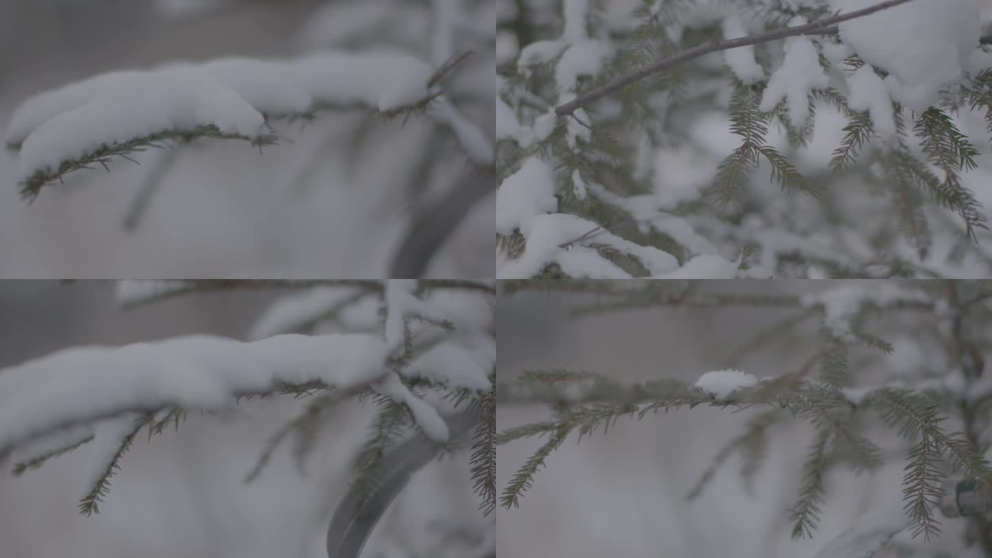 J哈尔滨伊春汤旺河雪景空境4K实拍视频2