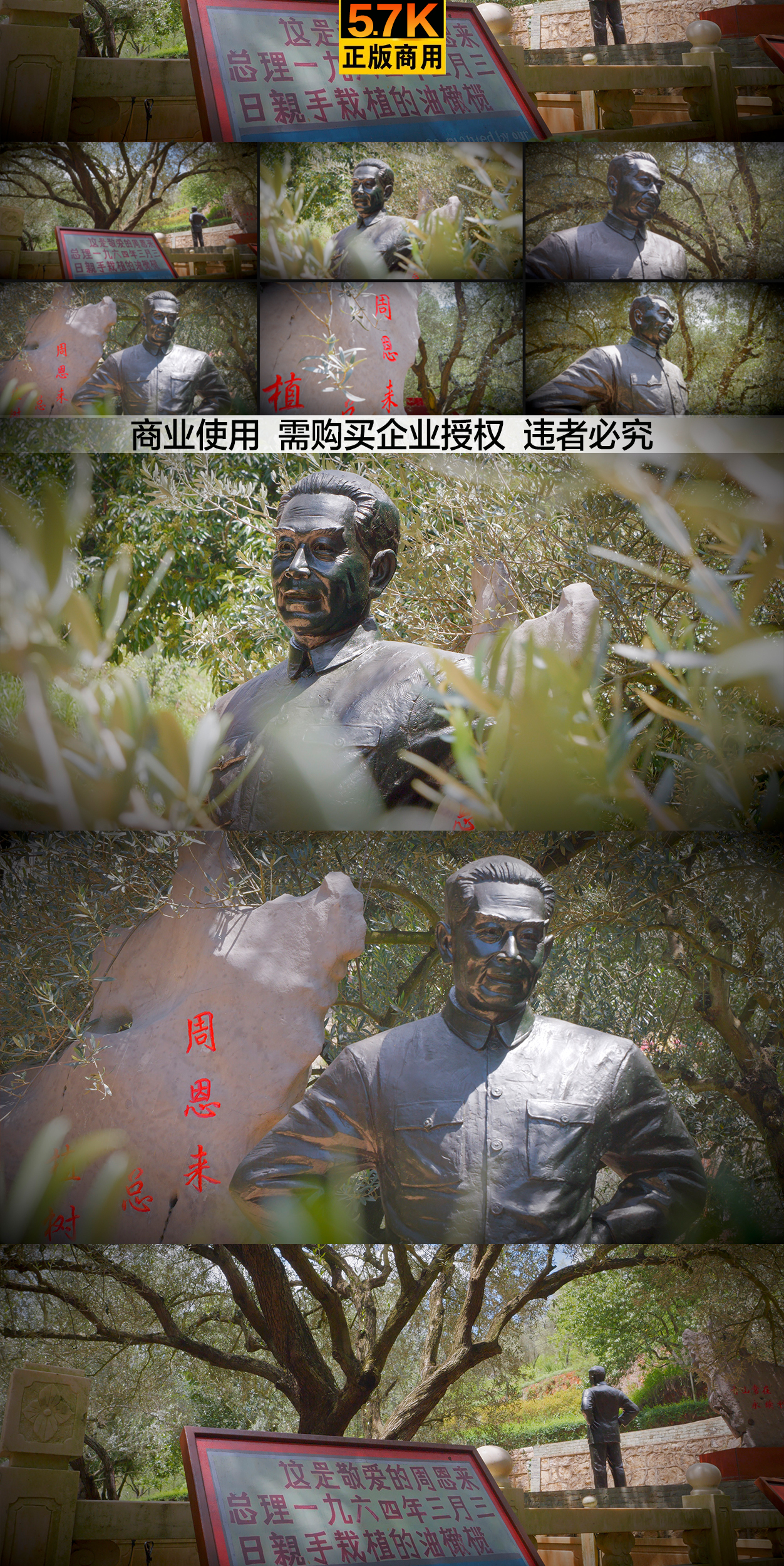 5.7K  周总理雕像 橄榄树