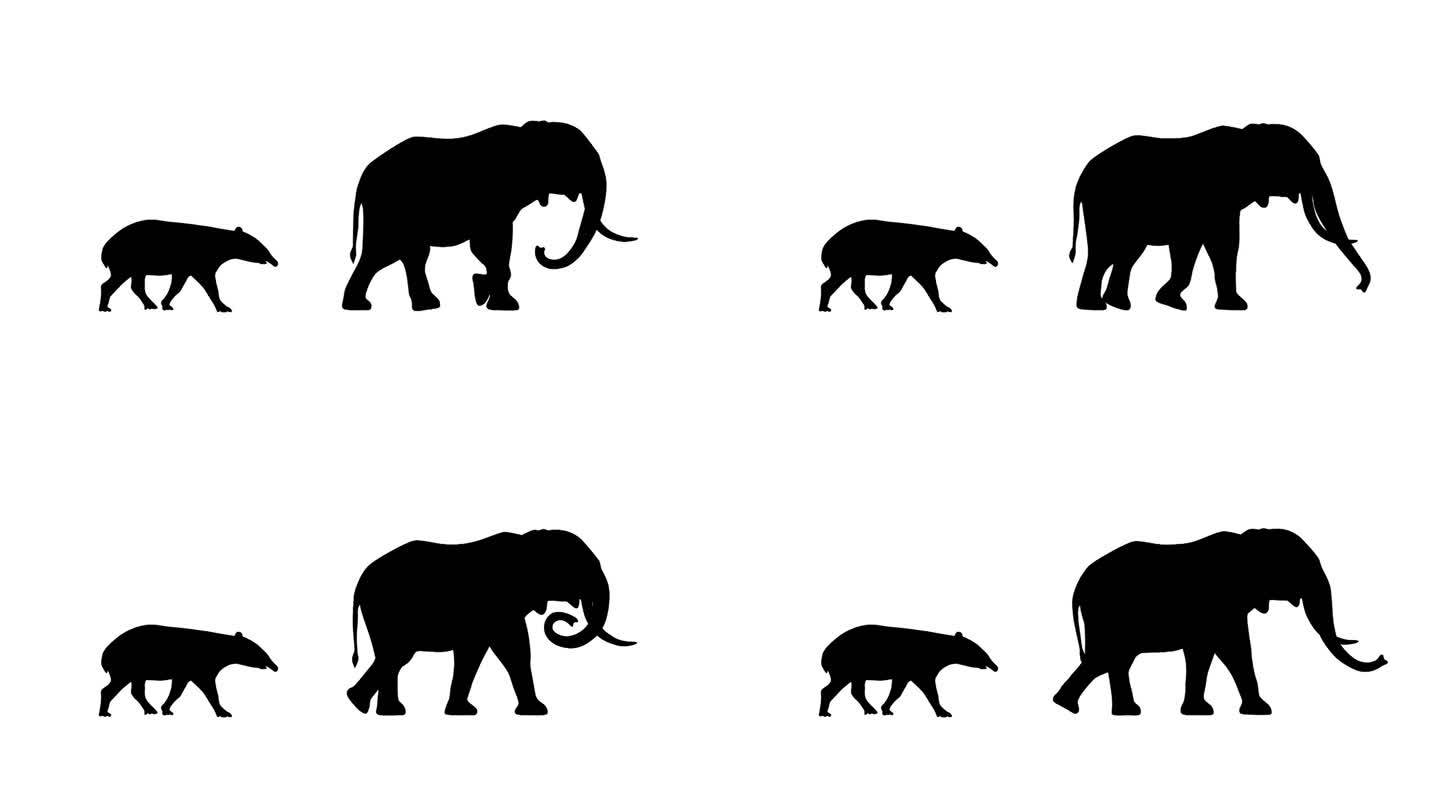 大象和貘的动画貘电影大象和貘