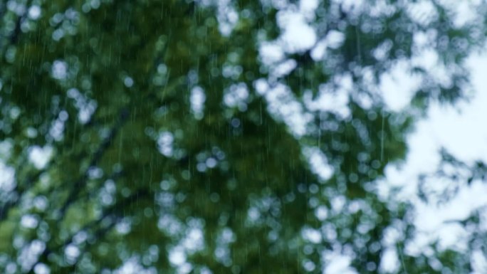 暴雨倾盆，夏季雷暴。绿色的树作为背景。多风多雨的天气，近距离拍摄带有散景的暗夜镜头。季节热带雨林风暴