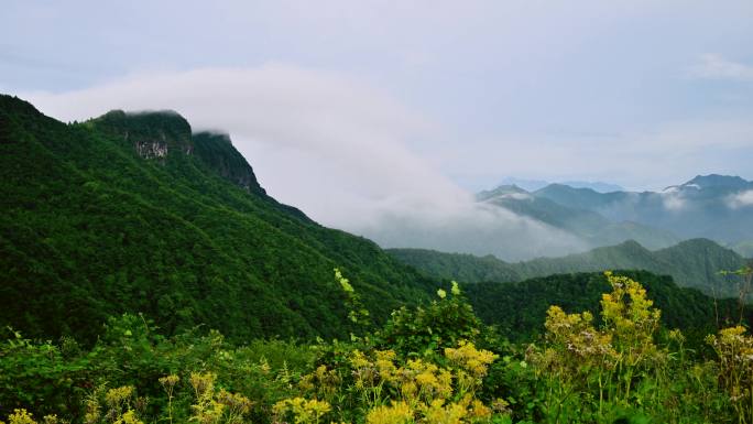 唯美自然风景大山云雾山岚延时视频素材