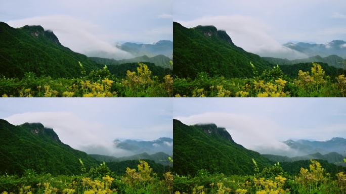 唯美自然风景大山云雾山岚延时视频素材