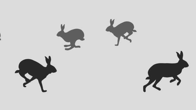 兔子动画
