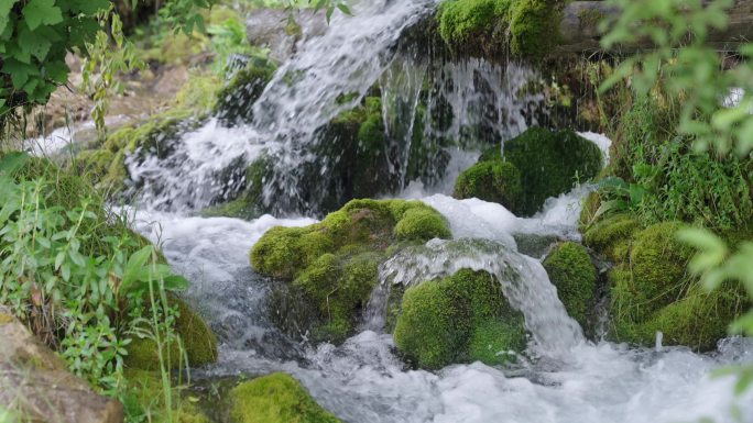 流水 原始森林 小溪 溪流 青苔 山泉水