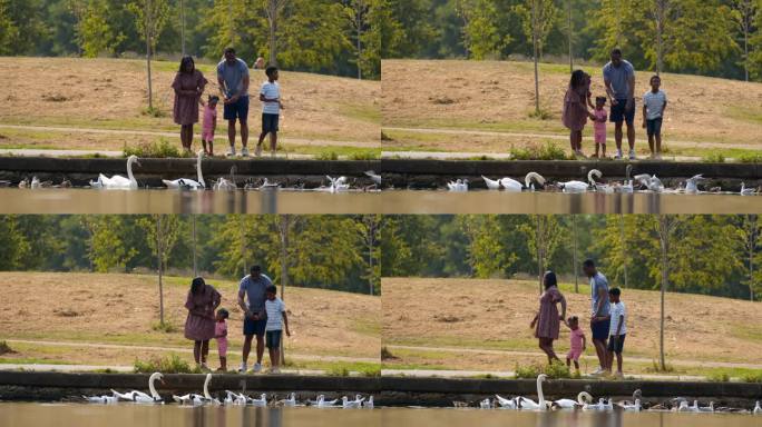 湖边的家庭散步湖边的家庭散步