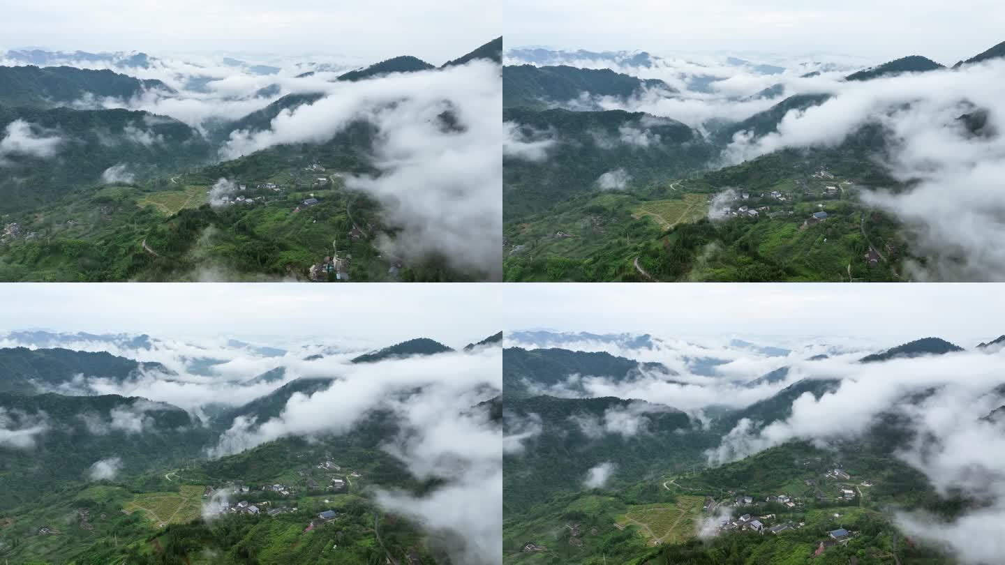 唯美自然景观山间云海云雾缭绕大山视频素材
