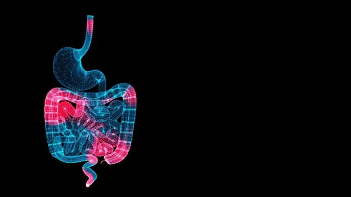 3D胃肠道扫描。器官扫描接口。HUD胃分析。体温和疼痛通过人体胃肠道传播。医学解剖学。3D动画60 