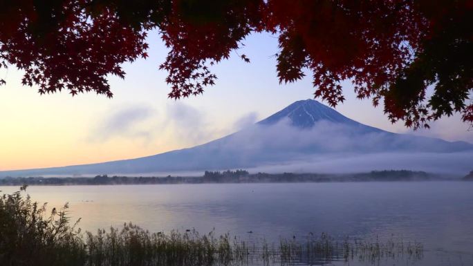 川口湖的秋天:富士山和枫叶的黎明