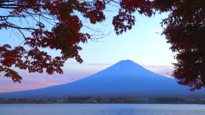 枫叶上的秋叶:黄昏的川口湖与富士山