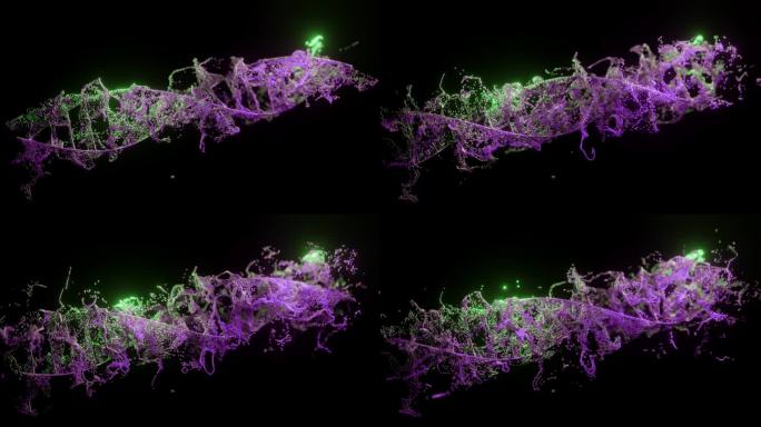 在黑色背景上抽象DNA。紫色和绿色的DNA分子。染色体中的DNA分子。科学,生物学。科学动画的遗传信