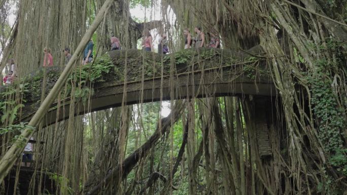 乌布猴森林大气-河流，雕塑，桥梁，树木，绿色植被