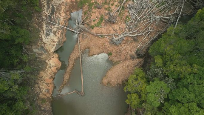 洪水后河岸的航拍画面(自上而下)，被连根拔起的树木