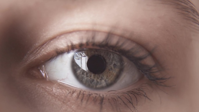 一个年轻女子灰色的左眼。健康的眼睛。良好的视力。眼科学
