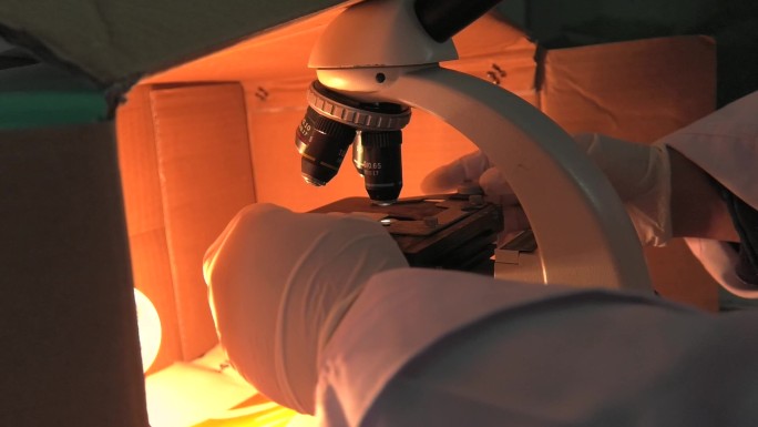 牛场 兽医 实验室 显微镜观察 冻精检测